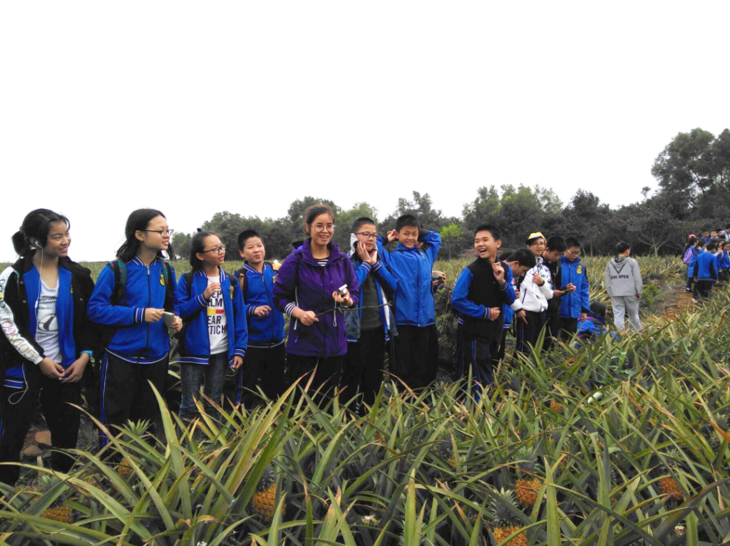 火山与海之歌|祖国大陆最南端（雷州半岛）科考之旅